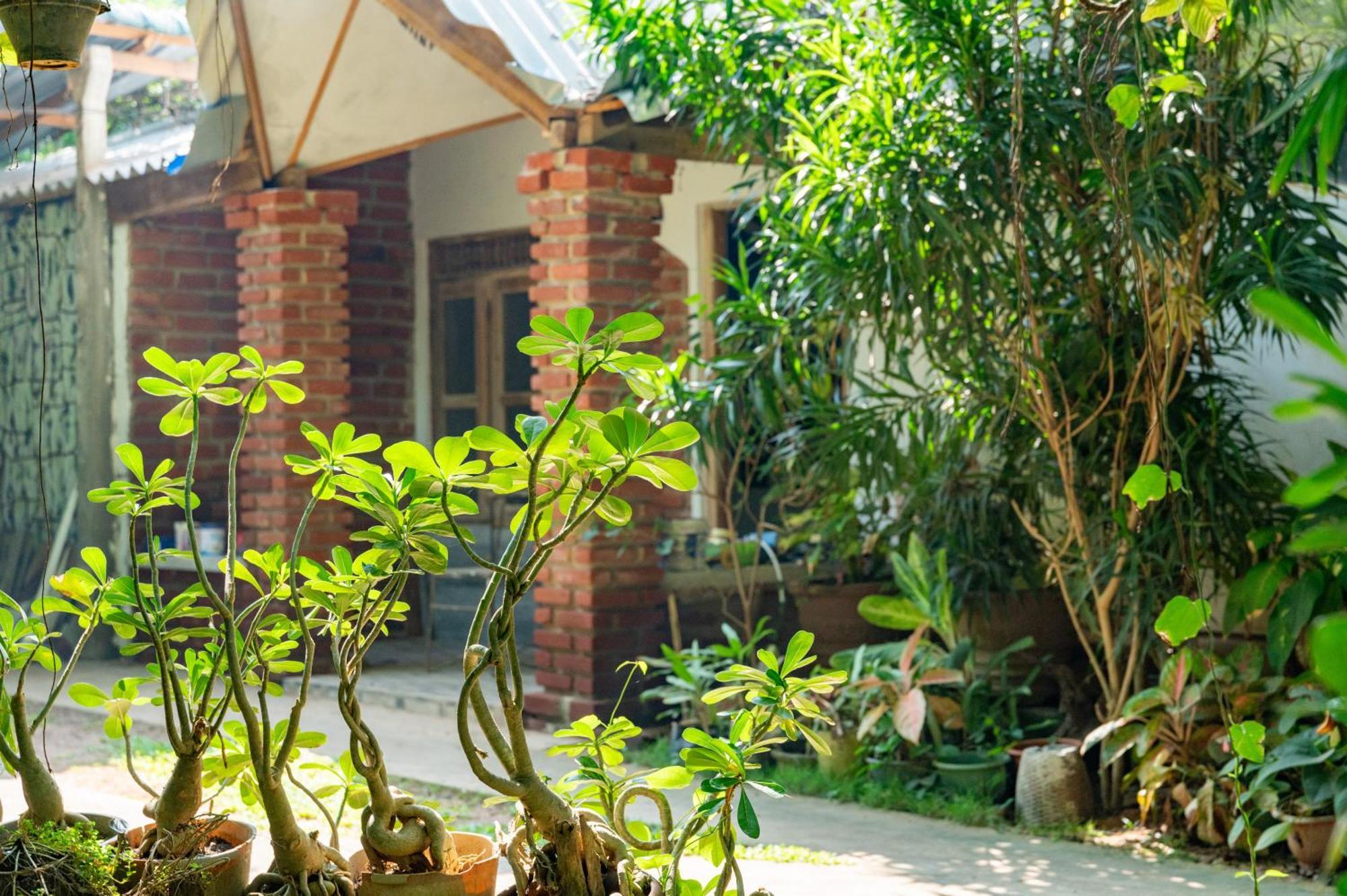 Green Garden Resort Habarana Exterior photo